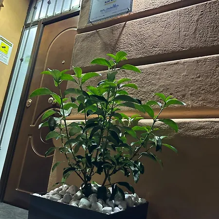 Blue Wave Apartmán Palermo